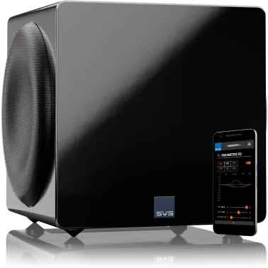 SVS 3000 Micro R|Evolution Subwoofer